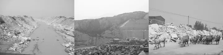 1517290762914701.jpg 640.webp (3).jpg