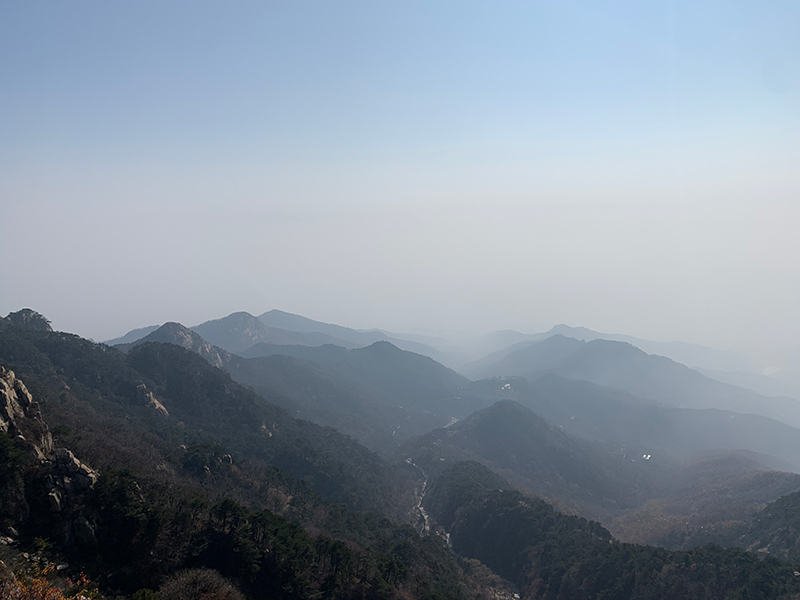 1605592449754484.jpg 霧.jpg