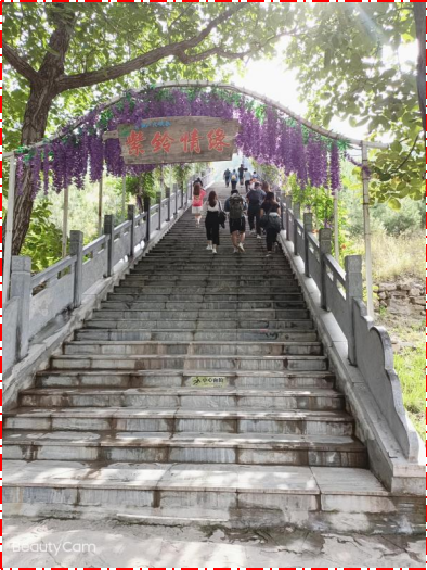 1630566217666810.png image.png